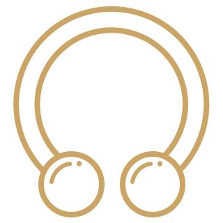 Horseshoe Piercing