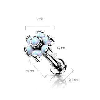 Titanium Labret Push-In Flower Opal Silver
