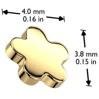 Titanio superiore fiore Filettatura Interna