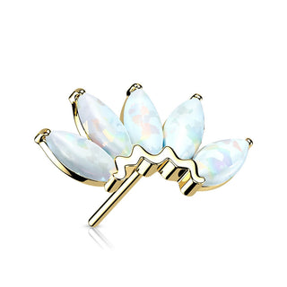 Solid Gold 14 Carat top 5 opals marquise cut Push-In