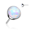 Titanium Top Opal Ball Push-In