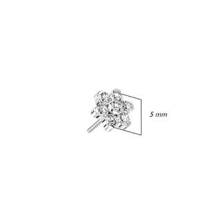 Titanium Top Flower Zirconia Silver Push-In