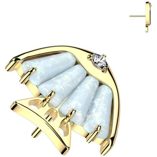 Titanio Superiore pesce zirconi Push-In