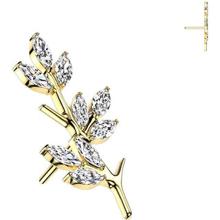 Titanio Superiore rama olivo Push-In