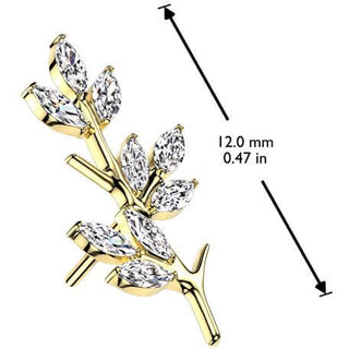 Titanio Superiore rama olivo Push-In