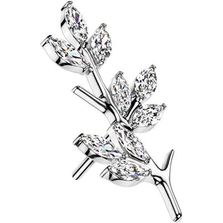 Titanio Superiore rama olivo Push-In