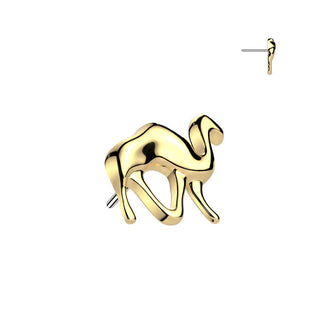 Titanio superiore cammello Push-In