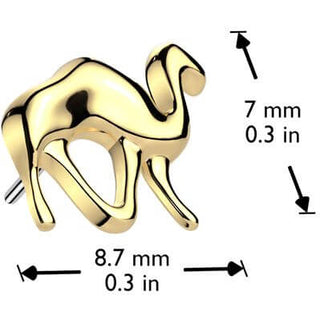 Titanio superiore cammello Push-In