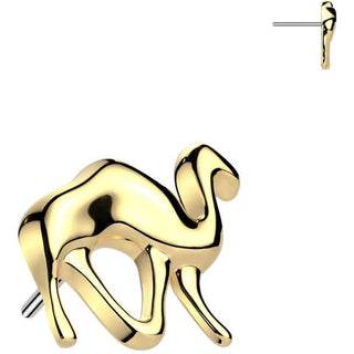 Titanio superiore cammello Push-In