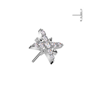 Titanio superiore stella Push-In