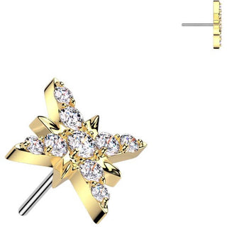 Titanio superiore stella Push-In