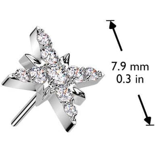 Titanio superiore stella Push-In