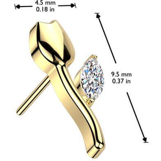 Titanio superiore tulipano Push-In