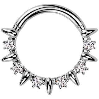 Ring zirconias Segment