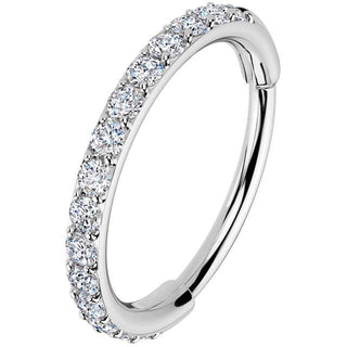 Ring zirconias Segment