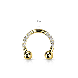 Titanium Horseshoe Zirconia