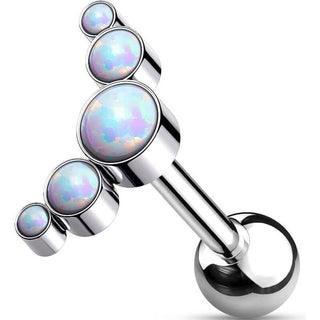 Titanium Barbell 5 Opal Silver Internally Threaded