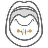 Piercing Frenillo Lengua