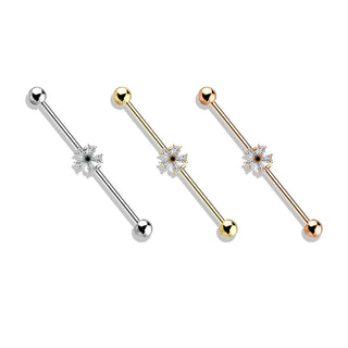 Industrial Barbell Blume Zirkonia