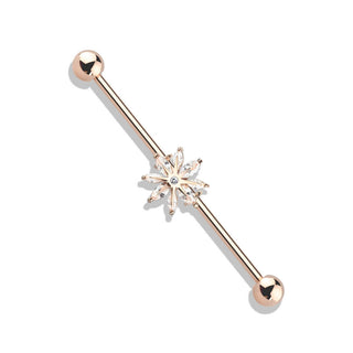 Industrial Barbell Snowflake Zirconia