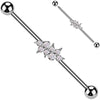 Barbell Industrial Zirconi spighe