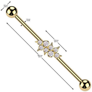 Barbell Industrial Zirconi spighe