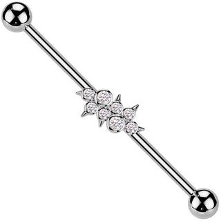 Barbell Industrial Zirconi spighe