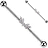 Barbell Industrial Ali zirconi