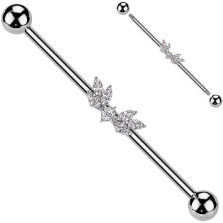 Barbell Industrial Ali zirconi