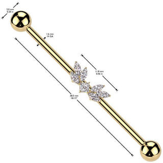 Barbell Industrial Ali zirconi