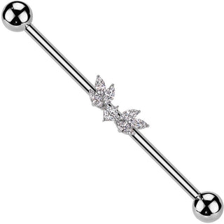 Barbell Industrial Ali zirconi