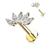 Or 14kt Labret Marquise 5 Zircone Enfoncer