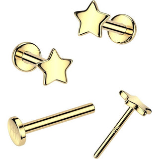14 Karat Gold Labret Stern flach Nasenpiercing Push-In