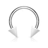Horseshoe Acrylic spike