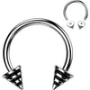 Horseshoe Striped spike