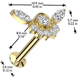 Labret calabrone zirconi incastornati Push-In