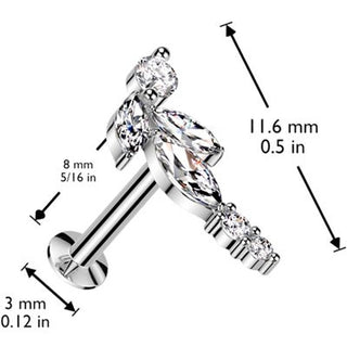 Labret winorośl cyrkonia push-in