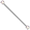 Titan Industrial Barbell Krappenfassung Zirkonia Push-In