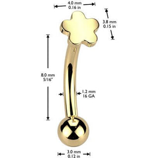 Titan Augenbrauenpiercing Blume Aufsatz Push-In