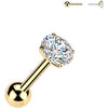 Titanium Barbell Zirconia rim setting Silver Push-In