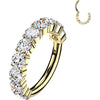 Titanium Ring 10 Outward Facing Prong Setting Moissanites Clicker
