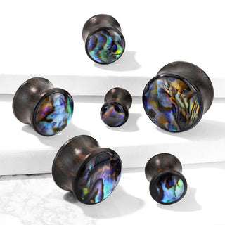 Plug Bois de coquillage multicolore
