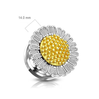 Plug Tournesol