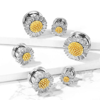 Plug Tournesol