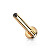 Titanio Base piatta 3mm Filettatura Interna