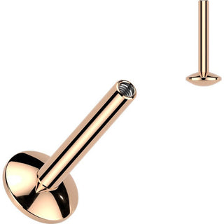 Titanium Base labret base Internally Threaded
