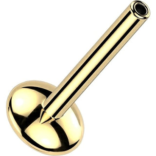 Titanium Base 4mm convex base Push-In