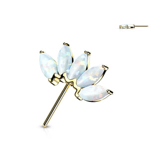 Solid Gold 14 Carat top 5 opals marquise cut Push-In