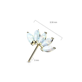 Solid Gold 14 Carat top 5 opals marquise cut Push-In
