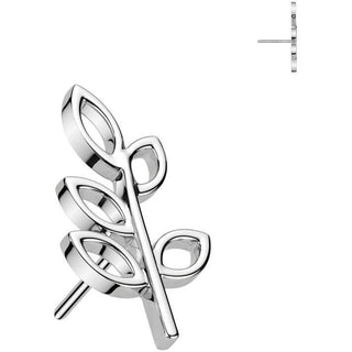 Złoto 585 nakrętka liść oliwny push-in